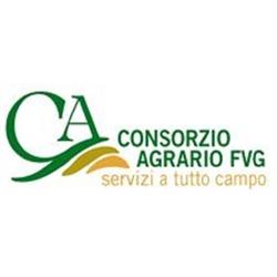 Consorzio Agrario Del Friuli Venezia Giulia SOC. COOP. a R.l., Basiliano orari di apertura