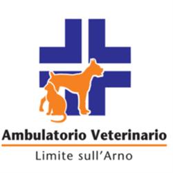 Ambulatorio Veterinario Limite sull'Arno, Limite sull'arno orari di apertura