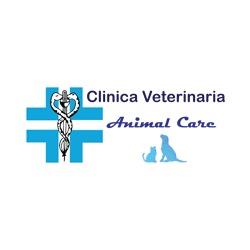 Clinica Veterinaria Animal Care, Bibbiena orari di apertura