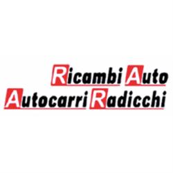 Ricambi Auto Autocarri Radicchi, Città di Castello orari di apertura