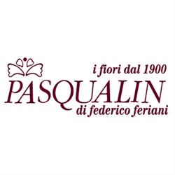 Fioreria Pasqualin dal 1900, Vicenza orari di apertura