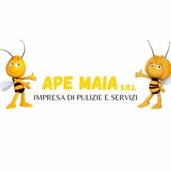 Impresa di Pulizie Ape Maia, Modena orari di apertura