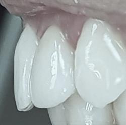 Studio Dentistico Ventrella, Bari orari di apertura