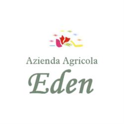 Fioreria Eden, Longarone orari di apertura