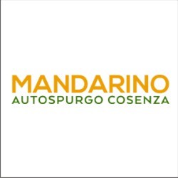Autospurgo Mandarino Cosenza, Cerisano orari di apertura