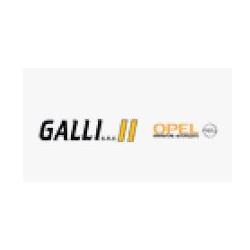 Galli - Opel, Besozzo orari di apertura