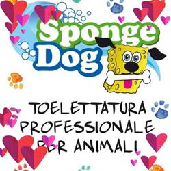 Sponge Dog Toelettatura, Viterbo orari di apertura
