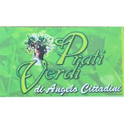 Prati Verdi, Nettuno orari di apertura
