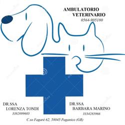 Ambulatorio Veterinario Tondi Dr.ssa Lorenza e Marino Dott.ssa Barbara, Civitella Paganico orari di apertura
