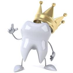 Studio Odontoiatrico King Smile, Merano orari di apertura