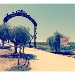 Azienda Agricola Rosati, Bellante orari di apertura