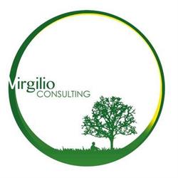 Virgilio Consulting Srl, Scanzorosciate orari di apertura