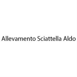Allevamento Sciattella Aldo, Torgiano orari di apertura