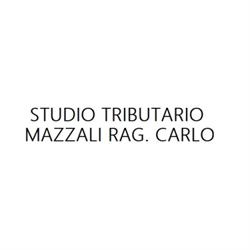 Studio Tributario Mazzali Rag. Carlo, Quistello orari di apertura