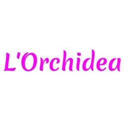 L’Orchidea, San Benedetto del Tronto orari di apertura