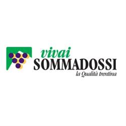 Vivai Sommadossi, Vallelaghi orari di apertura