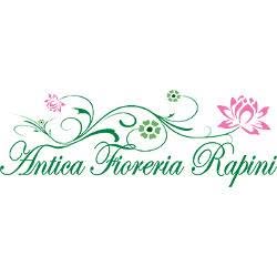 Antica Fioreria Rapini, Ferrara orari di apertura