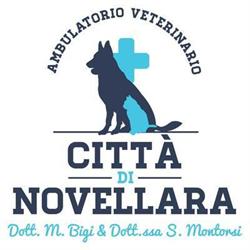 Ambulatorio Veterinario Citta' di Novellara, orari di apertura