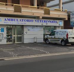 Ambulatorio Veterinario Dott. Ciervo Bernardo, Casal di Principe orari di apertura