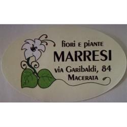 F.lli Marresi, Macerata orari di apertura