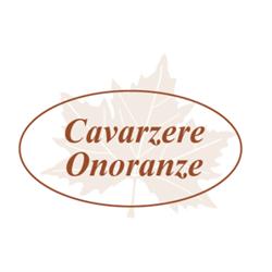 Cavarzere Onoranze, orari di apertura