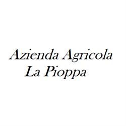 Azienda Agricola La Pioppa Vendita di Vini Agriturismo, Vo' orari di apertura