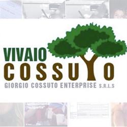 Vivaio Roma Cossuto, orari di apertura