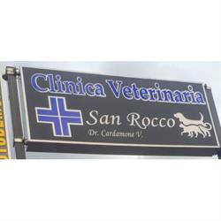 Clinica Veterinaria San Rocco, Nocera Superiore orari di apertura
