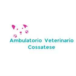 Ambulatorio Veterinario Cossatese, Cossato orari di apertura