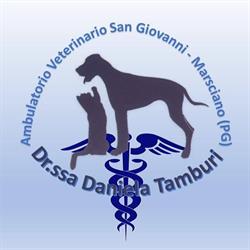 Ambulatorio Veterinario San Giovanni Dott.ssa Daniela Tamburi, Marsciano orari di apertura