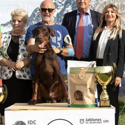 Allevamento Dobermann De' Andreoli, Borgoratto Mormorolo orari di apertura