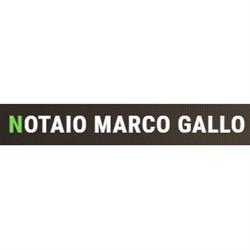 Studio Notarile Marco Gallo, Torino orari di apertura