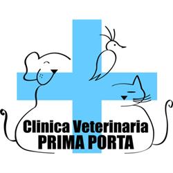 Clinica Veterinaria Prima Porta, Roma orari di apertura