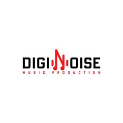 Diginoise Studio, Bruino orari di apertura