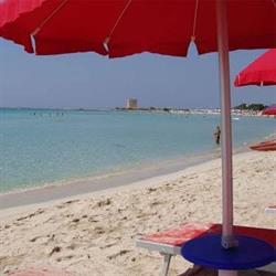 Salento Real Casa, Porto Cesareo orari di apertura