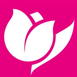 Il Tulipano, Feltre orari di apertura