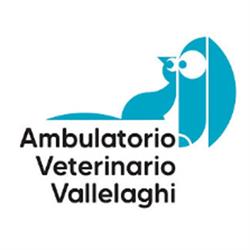 Ambulatorio Veterinario Vallelaghi Massimo Danielli, Madruzzo orari di apertura