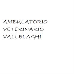 Ambulatorio Veterinario Vallelaghi Massimo Danielli, Madruzzo orari di apertura