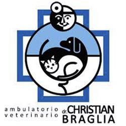 Ambulatorio Veterinario Dr. Christian Braglia, Montevarchi orari di apertura