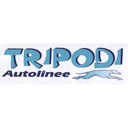Autolinee Tripodi, Reggio Calabria orari di apertura