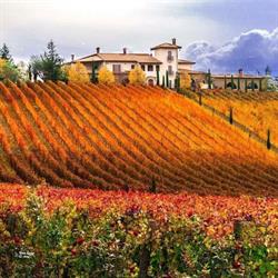 QUINTODECIMO, Mirabella Eclano orari di apertura