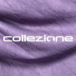 COLLEZIONE S.R.L., Torino orari di apertura