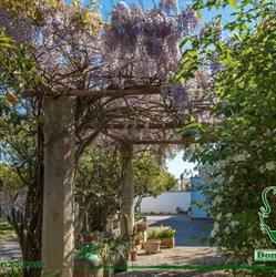 B&B DONNA VINCENZA, Melpignano orari di apertura