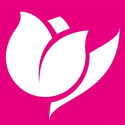Il Tulipano, Aviano orari di apertura