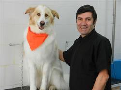 Mondo Animali New, Benevento orari di apertura