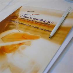 BLUE CONSULTING SRL, Lecce orari di apertura