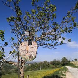 Ristorante Casal Villanova, San Severino Marche orari di apertura