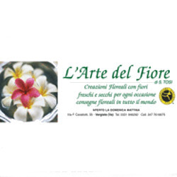 Fiorista Tosi Stefania - L'Arte del Fiore, Vergiate orari di apertura
