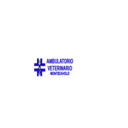 Ambulatorio Veterinario Montecavolo di Molinari Dott. Andrea, orari di apertura