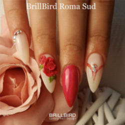 Brillbird Roma, orari di apertura